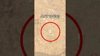 Mars Rover Perseverance SOL 1208 | quicksolutions-data