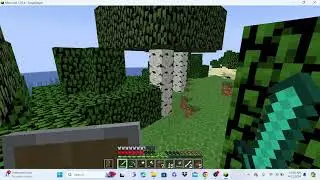 cursed minecraft 17