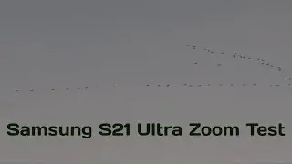 Samsung Galaxy S21 Ultra Zoom Test (1X to 100X)