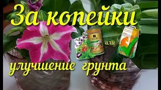 Как улучшить грунт, черенкование в воде в  цеолите ,эксперимент