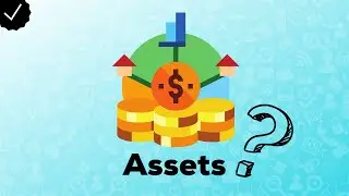What is Asset?
