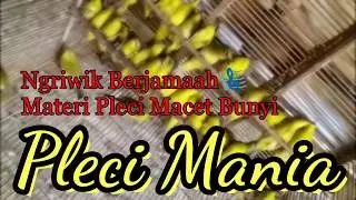 Ngriwik berjamaah Materi pleci Macet bunyi