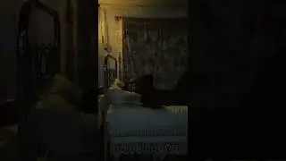 Лучшая кровать 