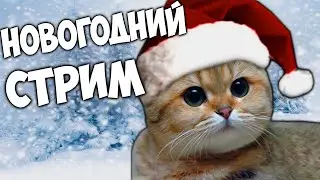 ОТЧЁТ ДО НОВОГО ГОДА