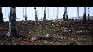 UE4 - Forest