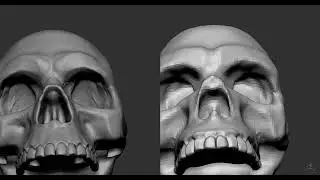 A more serious skull study