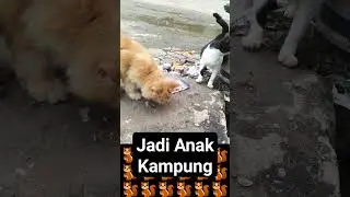 Jadi Anak Kampung