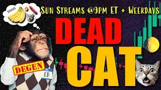 August 4 Ticker Request Live with Timestamps