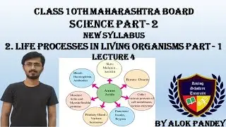Energy From Different Food Components | Life Processes in Living Organisms Part 1|RST|By Alok Pandey