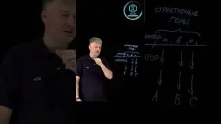 Биохимия: Оперон часть 3) Заключительная 