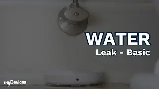Water - Leak Basic