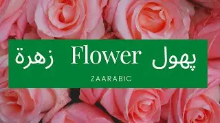 Flower in Arabic Language | زھرۃ