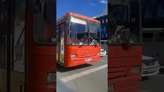 39 автобус 