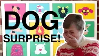 Too Many Dogs? A Birthday Surprise