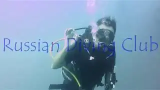 Diving Sail Rock // Samui // Russian Diving Club