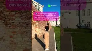 Заходи в тг-канал biotonya и забирай бесплатные материалы для ОГЭ по биологии в закрепе #огэ