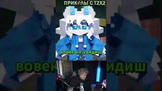 T2X2 И МАЛЕНЬКИЙ... СТОЛБ #tiktok #t2x2 #prikolst2x2 #twitch #shorts #minecraft