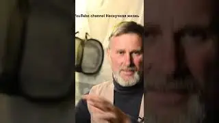 Запах самки #shorts Смотрите видео:  Фабр и его эксперимент#энтомология