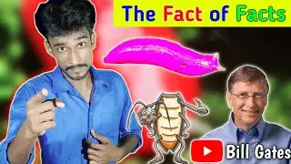 5 Amazing 😲 Random Facts That Amazed You | The Fact of Facts