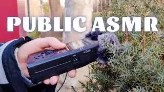 ASMR in Public🍂🌳