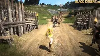 Black Desert Квесты и добыча ресурсов