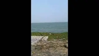 Padmriver, Borostation, Chandpur.