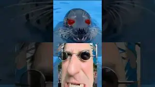 Seal of Approval (full version out now) 