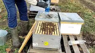 Контрольный выстрел бипином.