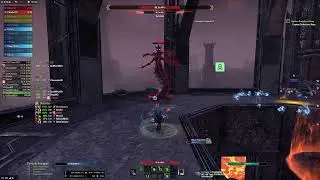 Aedra RG HM Open: Off-Tanking with Some Yap