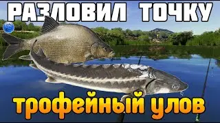 Лещ 6+ килограмм! Очень удачная рыбалка! Fisher Online