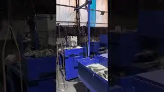 Home cleaning scrubber balls manufacturing, automatic knitting machine for mesh scourer