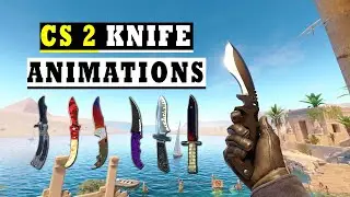 CS2 All Knives Skins And Rare Animations