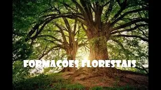Formações Florestais