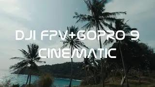 DJI FPV DRONE+GoPro 9 CINEMATIC VIDEO FREEDOM BEACH