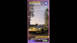 FORZA HORIZON 5. Primavera. Serie 25. Desafío de Fotos. FLUTTERSPEED.