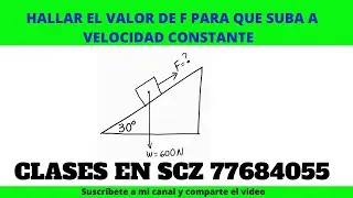 Calcular el valor de F para que el cuerpo de 600 N  suba a velocidad constante