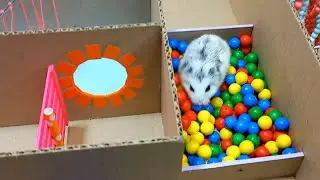 🐹 ХОМЯК в ЛАБИРИНТЕ ⚠️ [ Хомяк проходит лабиринт ]