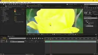 Color Splash After Effects Tutorial (Part-36) 2020