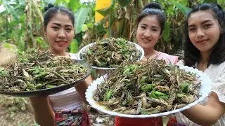 Yummy cooking grasshopper with salt recipe - Cooking skill