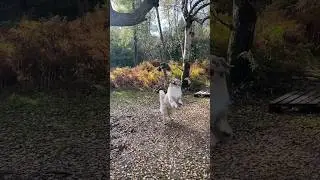 Когда наступила пятница