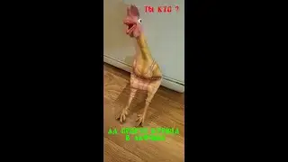Курица в лифчике. Чья курица?   