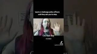 Insult The Police Until They Say No!