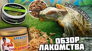 Красноухие черепахи кушают лакомства▷КРЕВЕТКИ СИЛА ДРАКОНА и КОНСЕРВА С НАСЕКОМЫМИ от Laguna