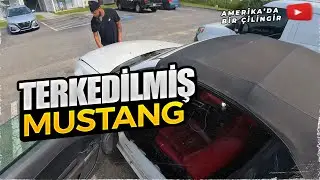 TERK EDİLMİŞ MUSTANG