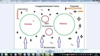 САД Aclon  Механизм работы флуревитов