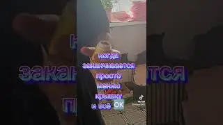 Продолжение ....
