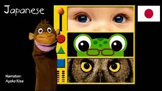 Baby Einstein: Baby da Vinci - Eyes, First Narration (One-Line Multilanguage)