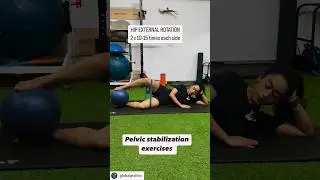 Pelvic Stability Exercises || #chiropratic #shortsfeed #physiotherapy #chiropractor #shorts #reels