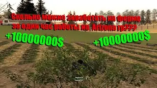 Сколько можно заработать за один час работы на ферме???(Arizona)