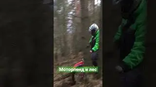 Лес и  Моторленд 250